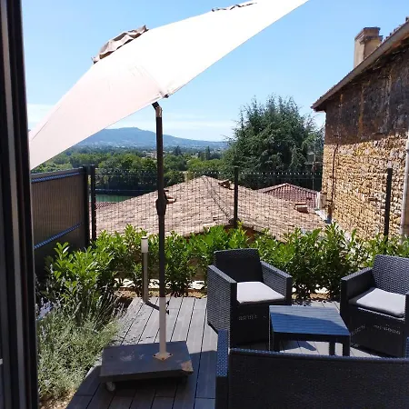 Trevoux: Loft Ravissant Avec Terrasse Trevoux