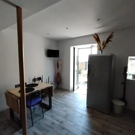 Trevoux: Loft Ravissant Avec Terrasse Trevoux