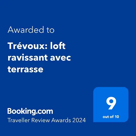 Trevoux: Loft Ravissant Avec Terrasse